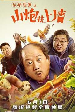 东北喜事之山炮扶上墙在线观看