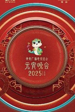 中央广播电视总台2025年元宵晚会在线观看