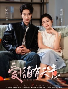 爱情自有天意高清播放