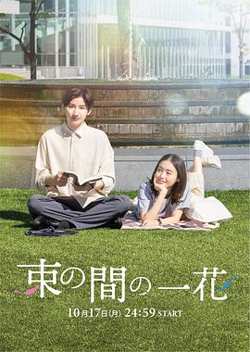 一霎一花在线观看