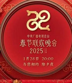 2025年中央广播电视总台春节联欢晚会在线观看
