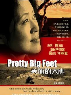 美丽的大脚【影视解说】在线观看