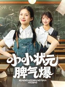 小小状元脾气爆高清播放