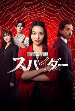 离婚律师蜘蛛 虚伪与背叛篇高清播放