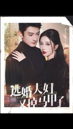 逃婚夫妇又掉马甲了在线观看