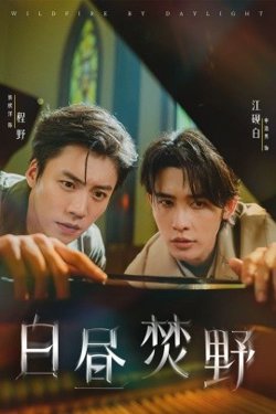 白昼焚野高清播放