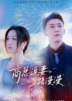 商总追妻路漫漫高清播放