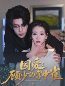 囚爱：顾少的掌中雀在线观看