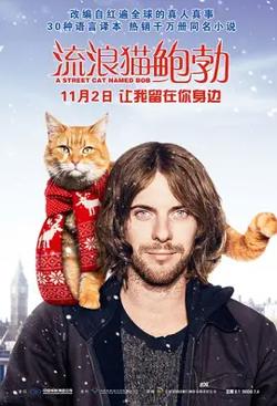 流浪猫鲍勃【影视解说】在线观看
