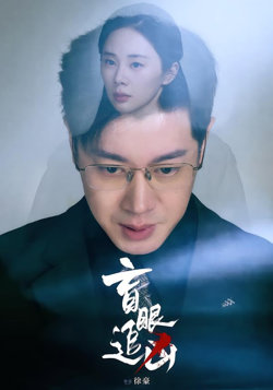 盲眼追凶在线观看