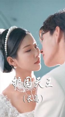 护国天王在线观看