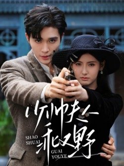 少帅夫人乖又野高清播放