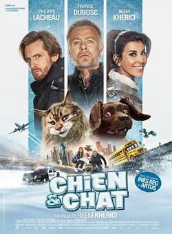 猫狗大乱斗在线观看