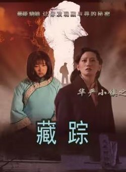 华严小镇2之藏踪在线观看