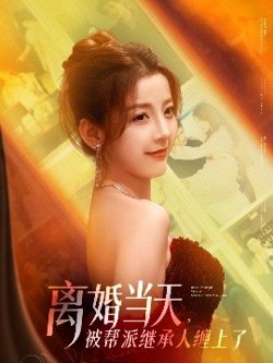 离婚当天,被帮派继承人缠上了