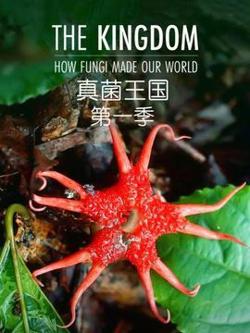 真菌王国第一季高清播放