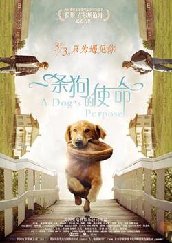 一条狗的使命高清播放