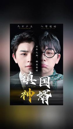镇国神婿新版在线观看