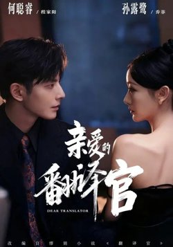 亲爱的翻译官（2026）高清播放