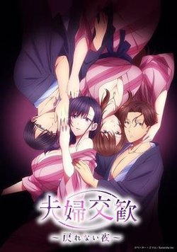 夫妇联欢~回不去的夜晚~在线观看