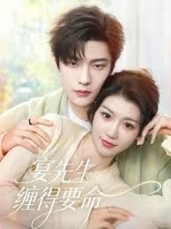 宴先生缠得要命高清播放