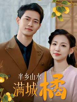 半乡山水满城橘高清播放