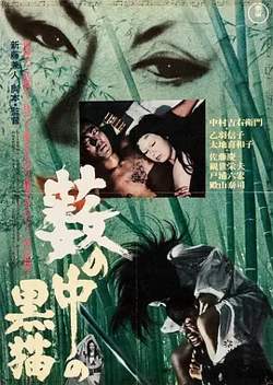 黑猫1968[电影解说]高清播放