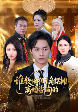 谁教他在相亲角摆摊离婚咨询的高清播放