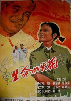 生命的火花在线观看