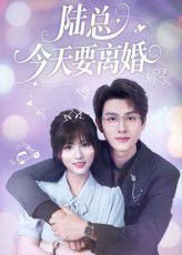陆总今天要离婚高清播放