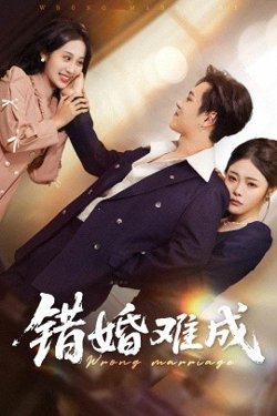 错婚难成高清播放