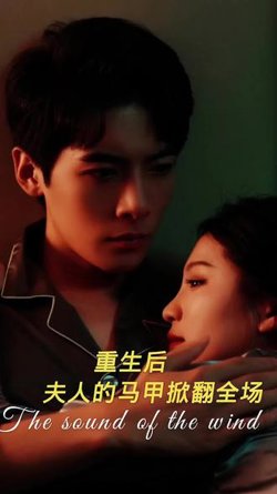 重生后，夫人马甲掀翻全场高清播放