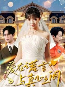 爱在谎言与真心之间在线观看