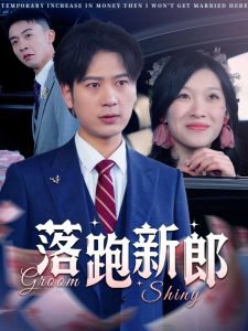 落跑新郎在线观看