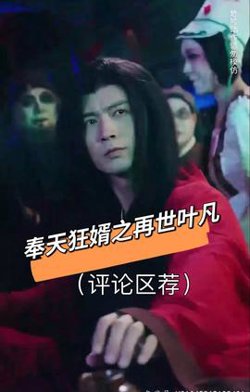 奉天狂婿之再世叶凡在线观看