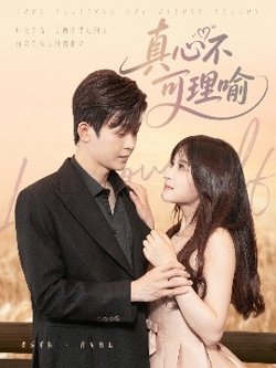 真心不可理喻高清播放