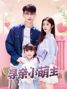 寻亲小萌主高清播放