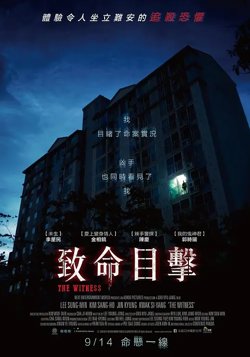 致命目击【影视解说】在线观看