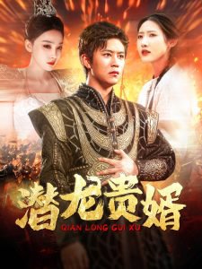 潜龙贵婿高清播放