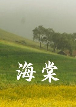 海棠在线观看