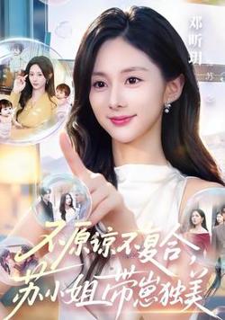 不原谅不复合，苏小姐带崽独美在线观看