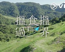 揾食揾过界在线观看