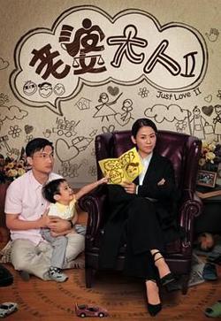 老婆大人2 粤语版高清播放