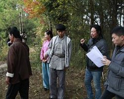 巴山女红军高清播放