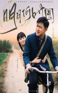 明月何时圆高清播放