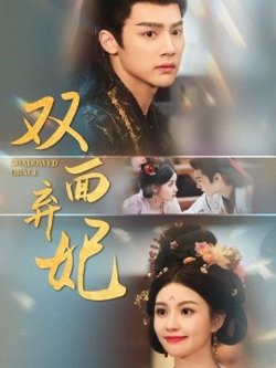 双面弃妃高清播放