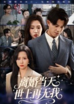 离婚当天世上再无我在线观看