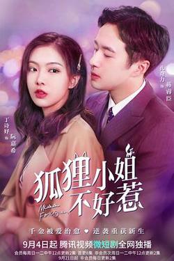 狐狸小姐不好惹高清播放