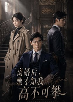 离婚后，她才知我高不可攀在线观看