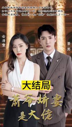 萧爷娇妻是大佬高清播放